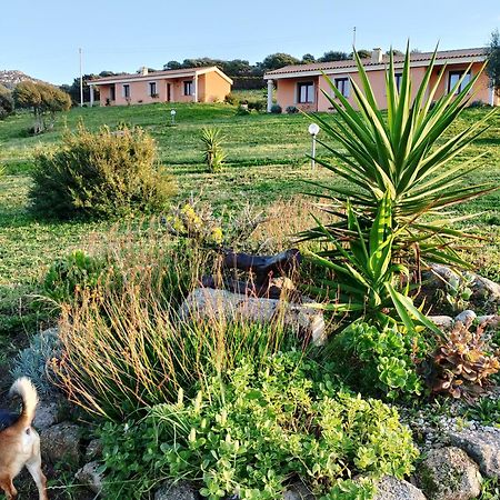 Agriturismo Gli Olivastri Appartamento Corbezzolo Con Piscina E Vista Mare,Climatizzatore,Wifi Aglientu Ngoại thất bức ảnh