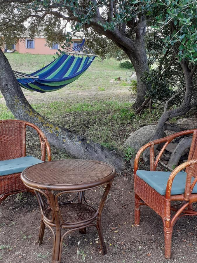 Agriturismo Gli Olivastri Appartamento Corbezzolo Con Piscina E Vista Mare,Climatizzatore,Wifi Aglientu Ngoại thất bức ảnh