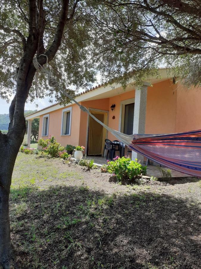 Agriturismo Gli Olivastri Appartamento Corbezzolo Con Piscina E Vista Mare,Climatizzatore,Wifi Aglientu Ngoại thất bức ảnh